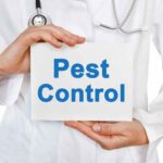 pest control