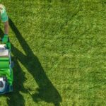 lawn care company