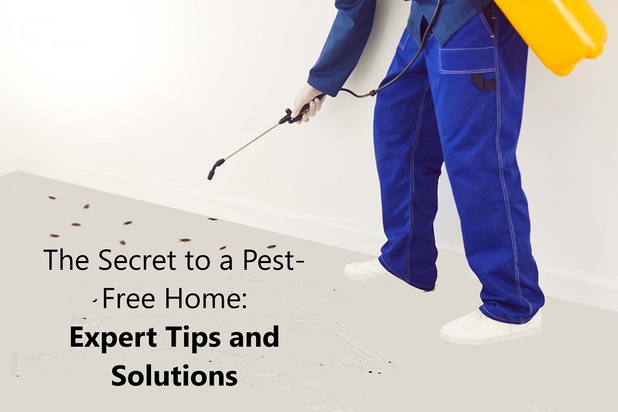 Pest-Free Home