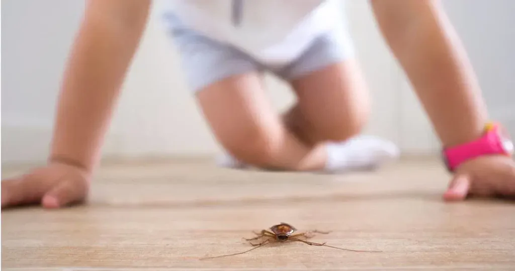 Cockroach Extermination